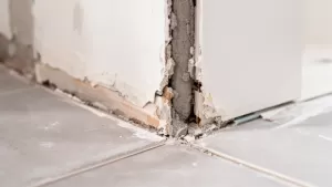 Wykończenie płytek podłogowych przy ścianie